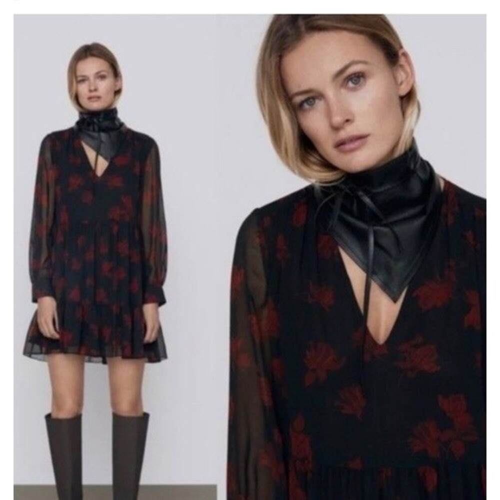 Zara M Black Red Roses Dress Chiffon Goth Floral babydoll whimsygoth Grunge